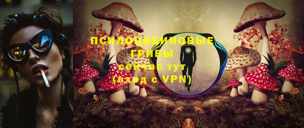 шишки Вязьма