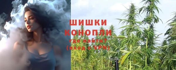 гашик Сафоново