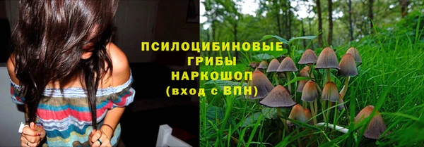 тгк Вязники