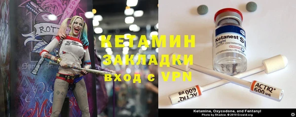 шишки Вязьма